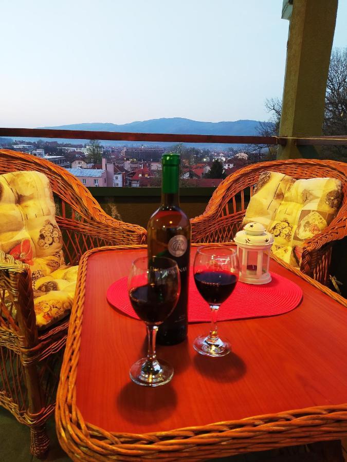 Apartman Jasmin Vrnjačka Banja Buitenkant foto