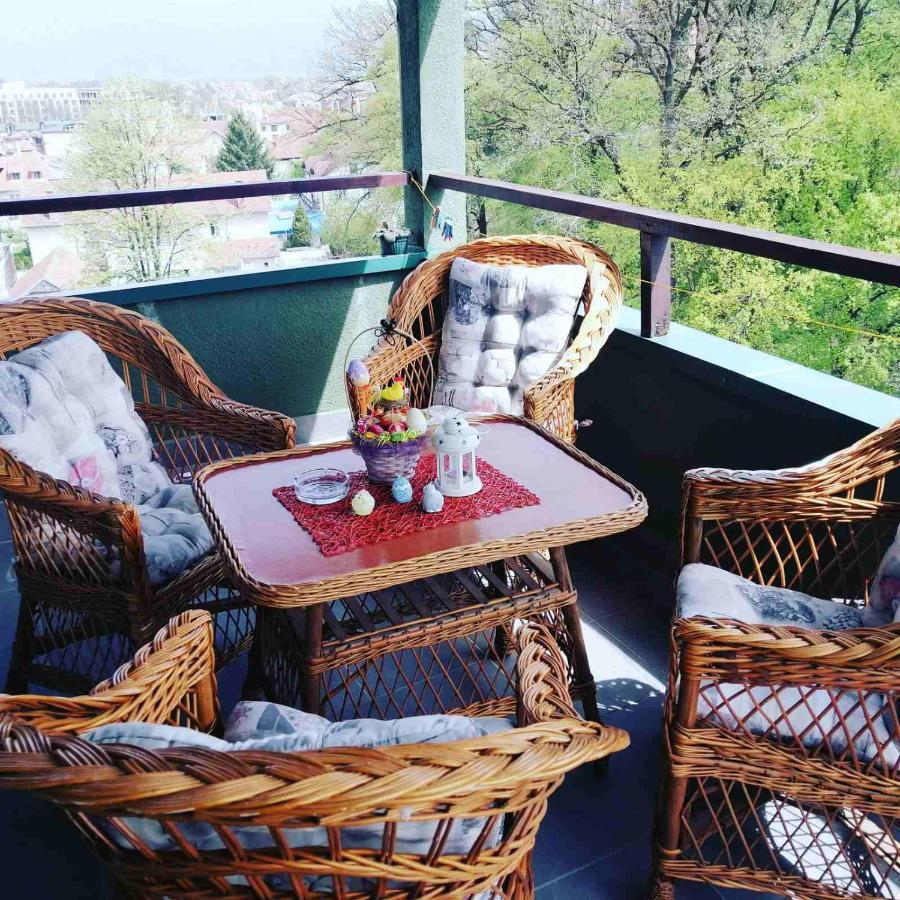 Apartman Jasmin Vrnjačka Banja Buitenkant foto